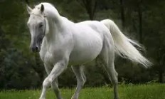 米兰体育官网-包含马竞主场大获胜利，整体表现超群的词条