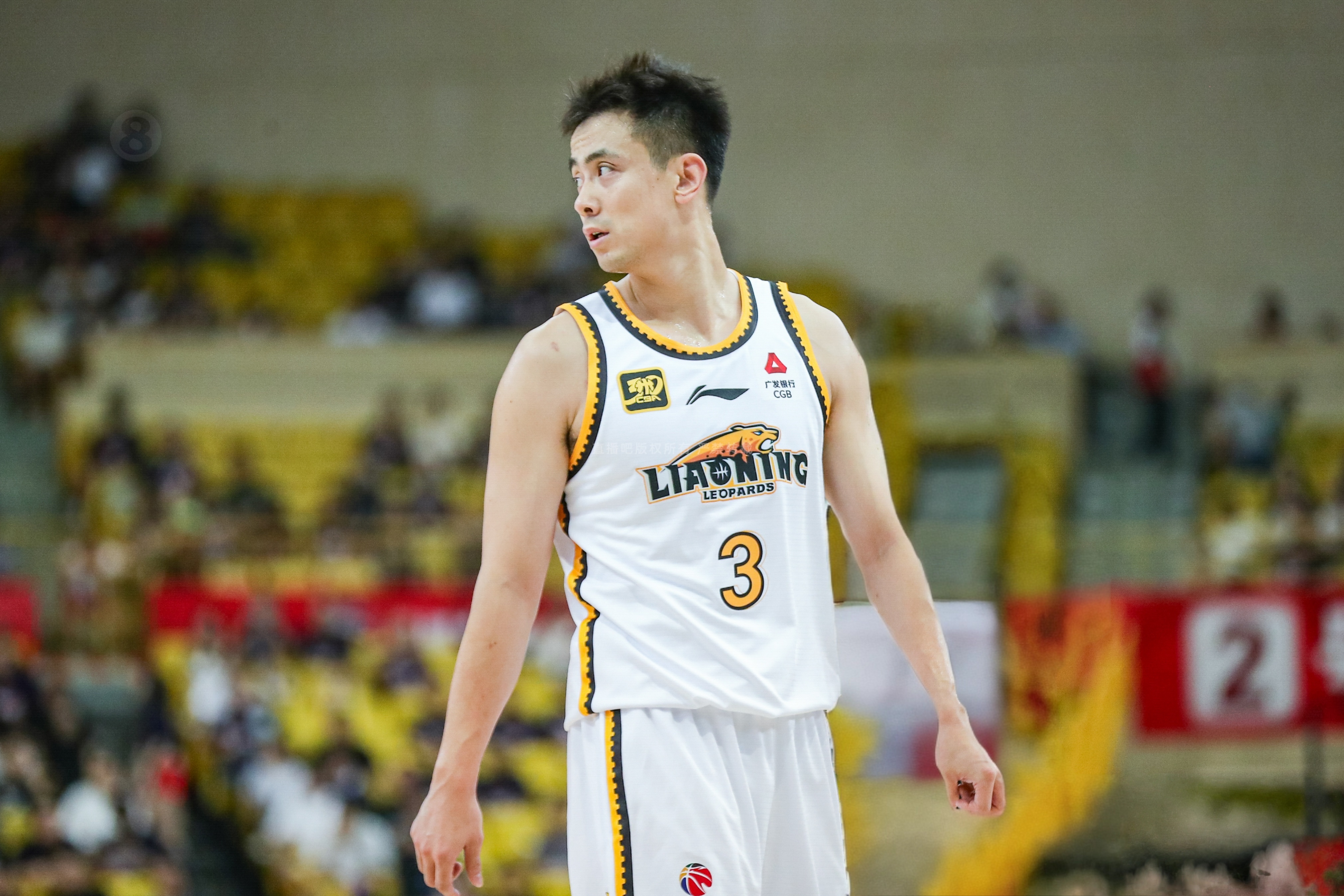 深圳队完胜山东队，赵继伟状态火热的简单介绍