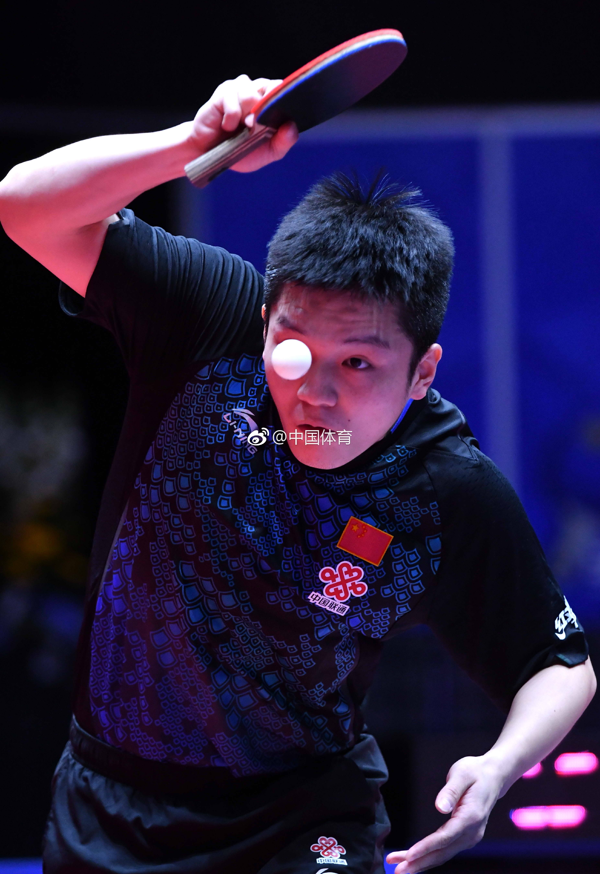 包含波兰队横扫瑞典队，许昕关键制胜的词条