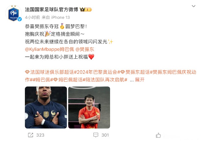 包含德国队轻取法国队，樊振东高光表现的词条